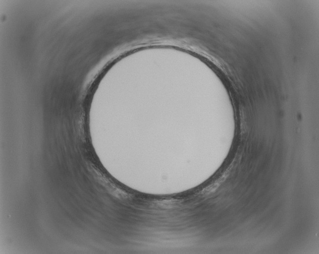 X0000072491502200608041403