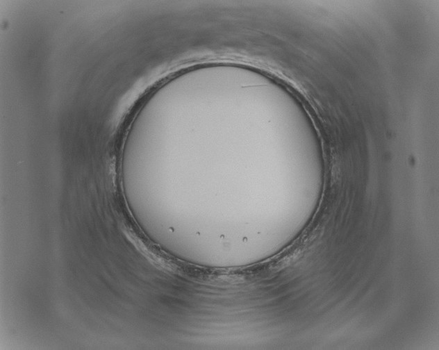 X0000072491503200608041403