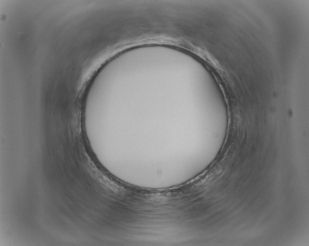 X0000072491504200608041403