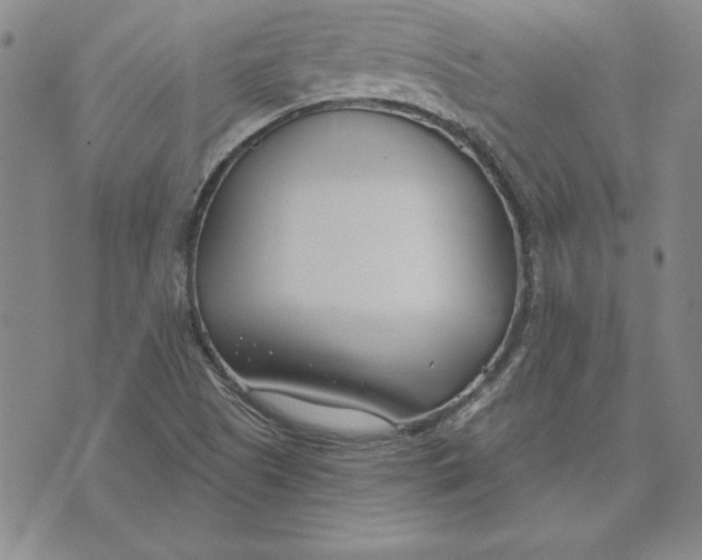 X0000072491505200608041403