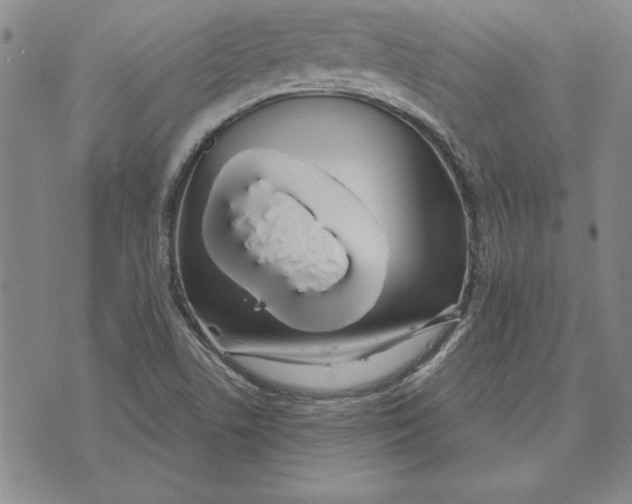 X0000072491506200608041403