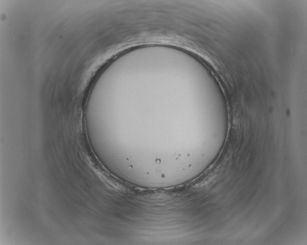 X0000072491507200608041403