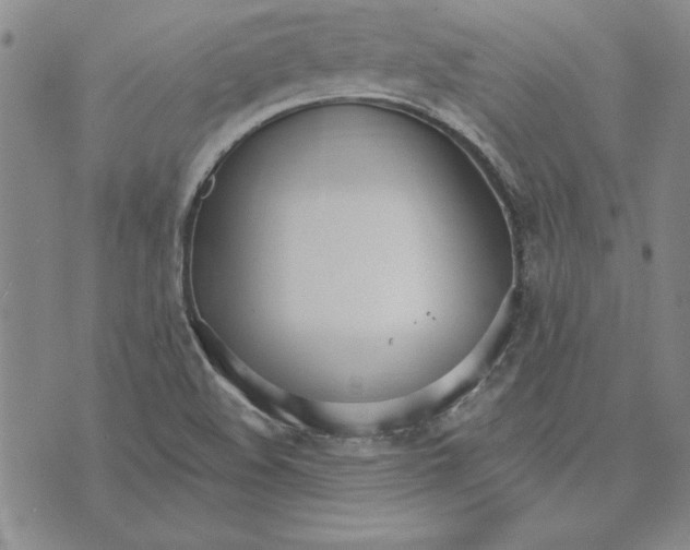 X0000072491508200608041403