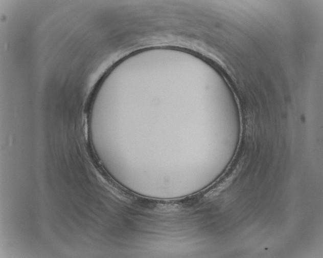 X0000072491509200608041403