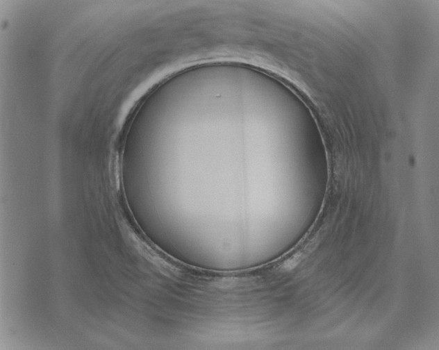 X0000072491510200608041403