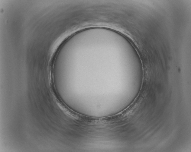 X0000072491511200608041403