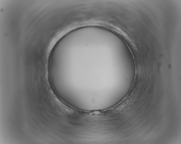 X0000072491512200608041403