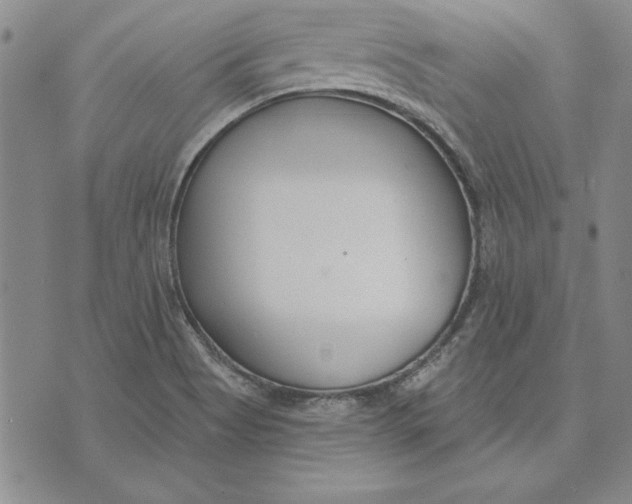 X0000072491513200608041403