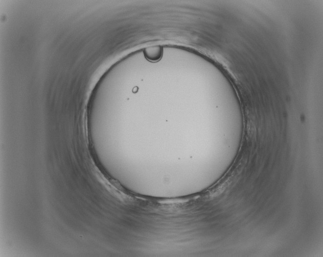 X0000072491516200608041403