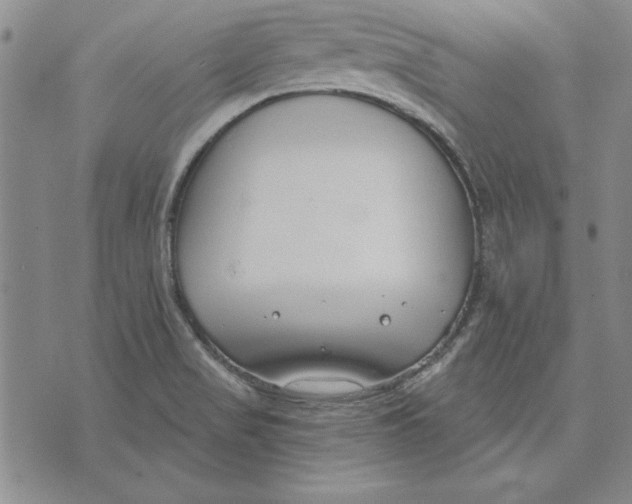 X0000072491517200608041403