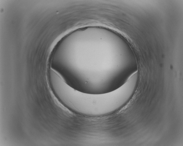 X0000072491518200608041403