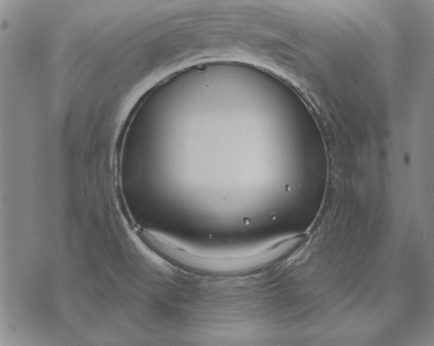 X0000072491519200608041403