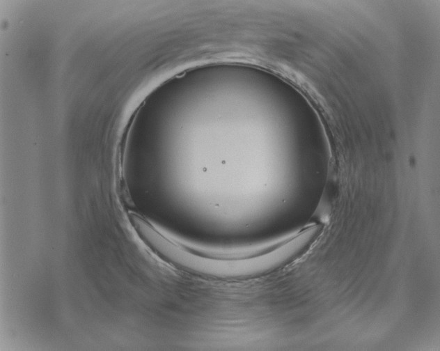 X0000072491520200608041403