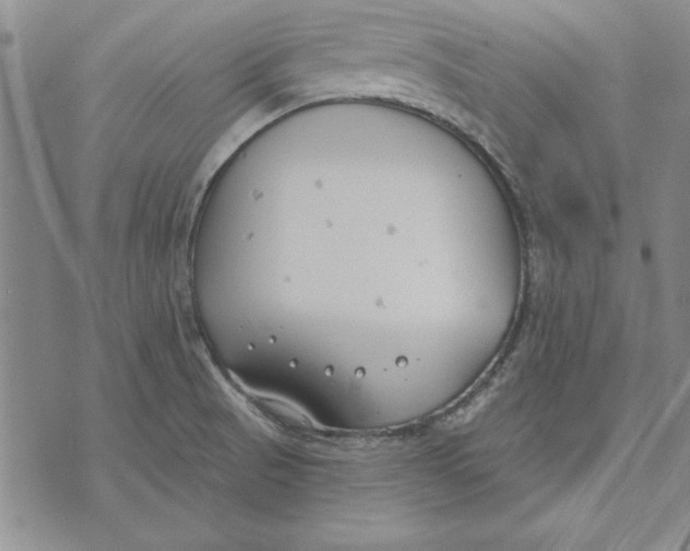 X0000072491521200608041403