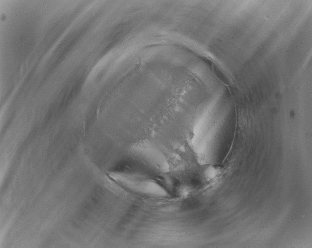 X0000072491522200608041403