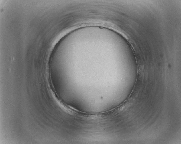 X0000072491523200608041403