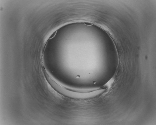 X0000072491524200608041403