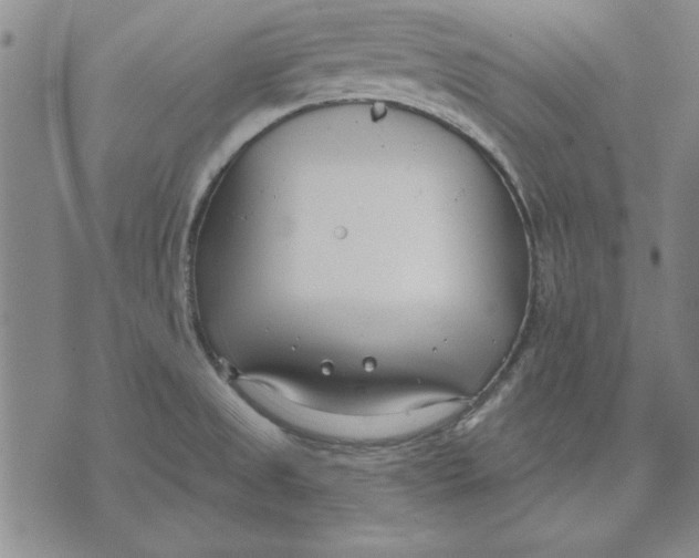 X0000072491525200608041403