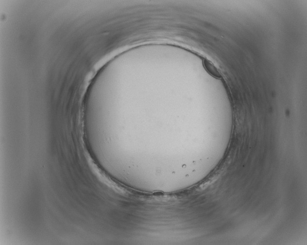 X0000072491526200608041403