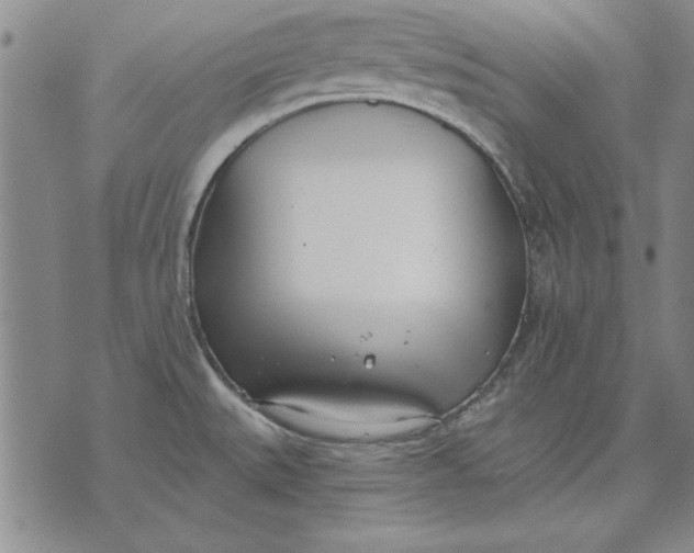 X0000072491527200608041403