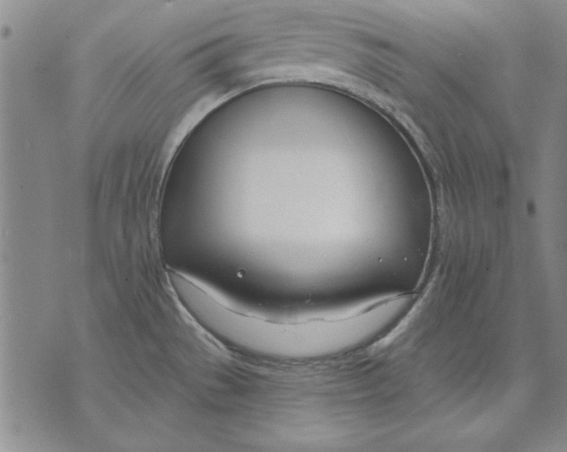 X0000072491529200608041403