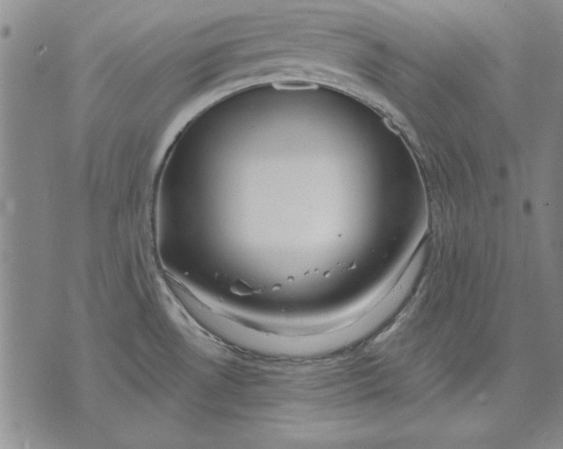 X0000072491530200608041403