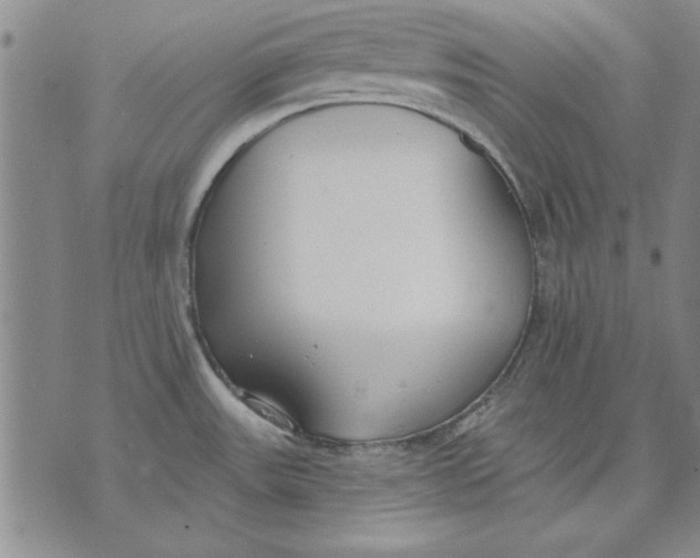 X0000072491531200608041403