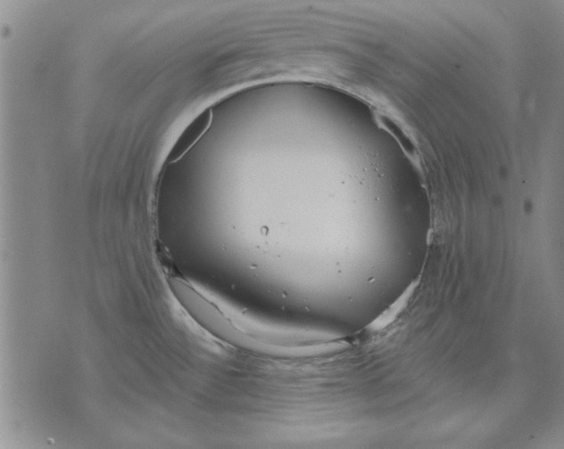 X0000072491532200608041403