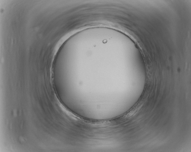 X0000072491535200608041403