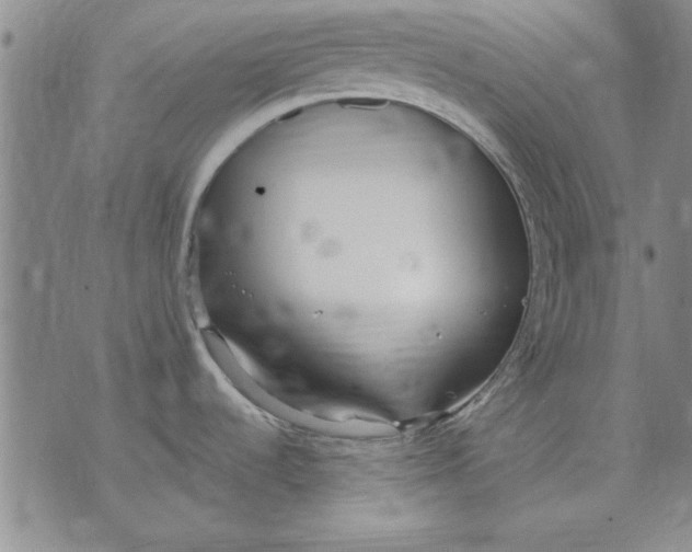 X0000072491536200608041403