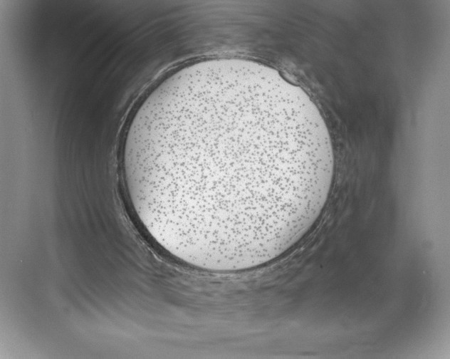 X0000072490002200608111614