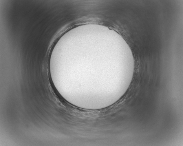 X0000072490004200608111614