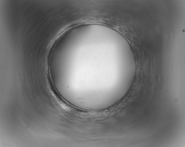 X0000072490005200608111614