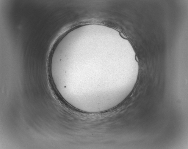 X0000072490006200608111614