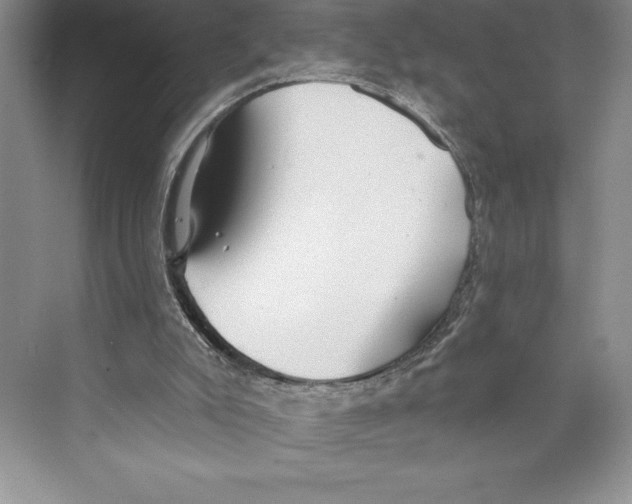 X0000072490007200608111614