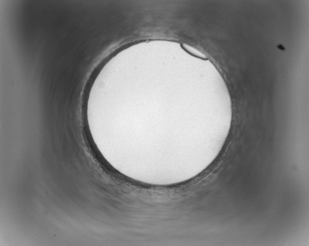 X0000072490008200608111614