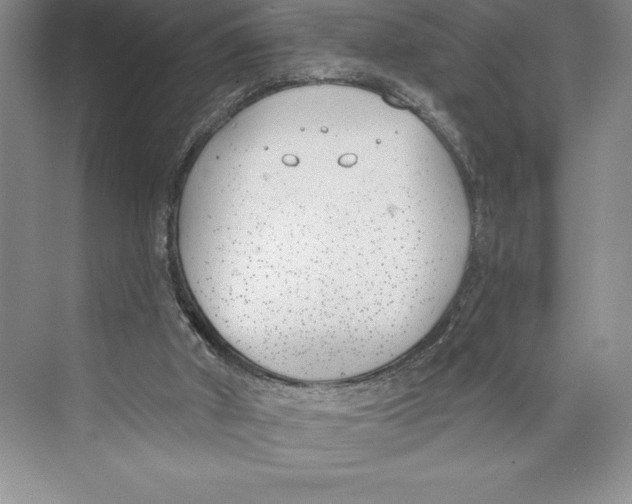 X0000072490010200608111614