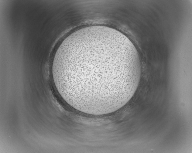 X0000072490012200608111614