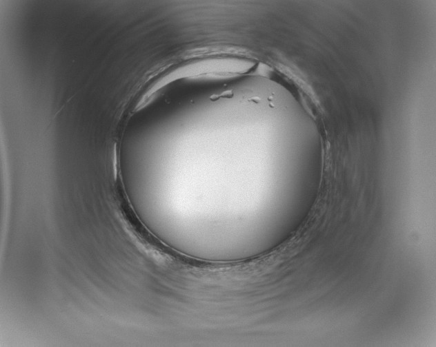 X0000072490013200608111614