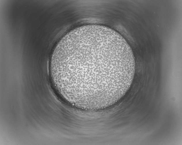 X0000072490014200608111614