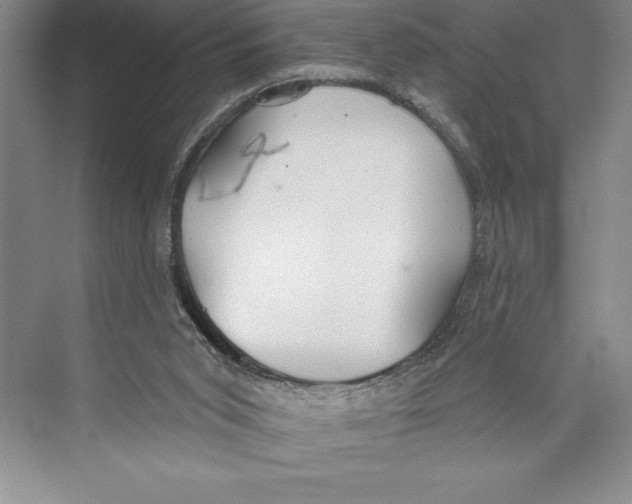 X0000072490015200608111614