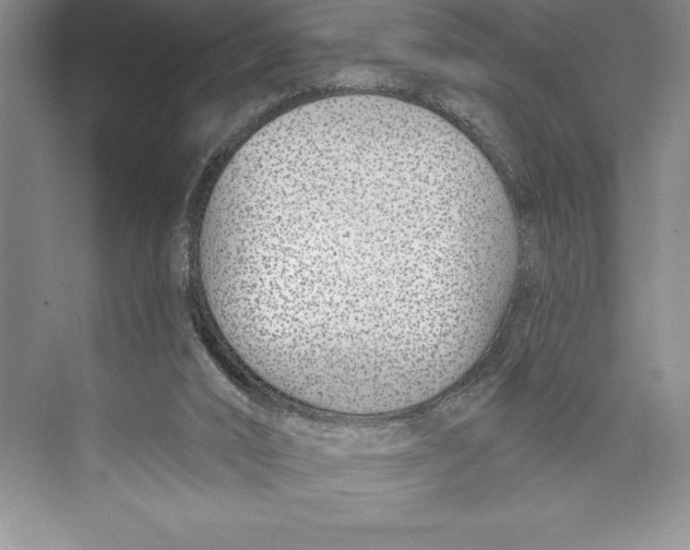 X0000072490016200608111614