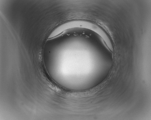 X0000072490017200608111614