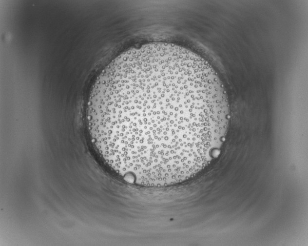 X0000072490018200608111614