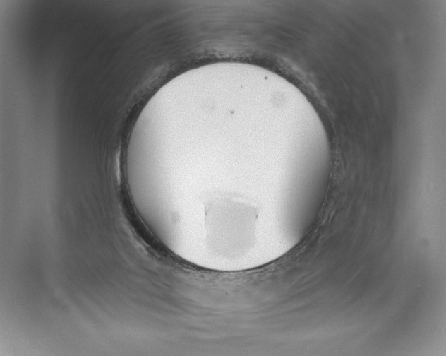 X0000072490019200608111614