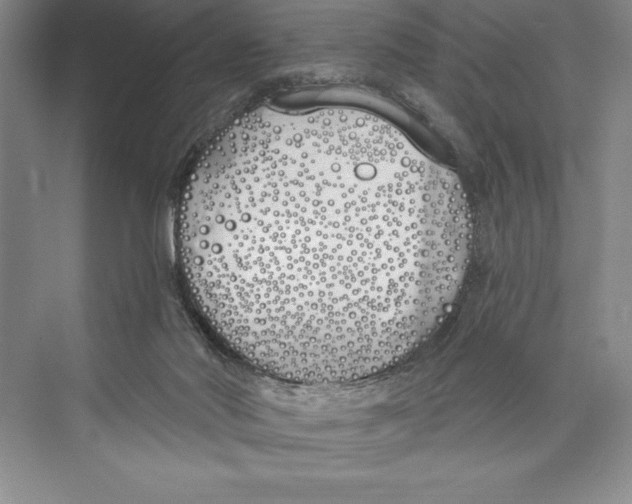 X0000072490022200608111614