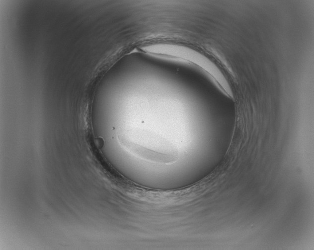 X0000072490023200608111614