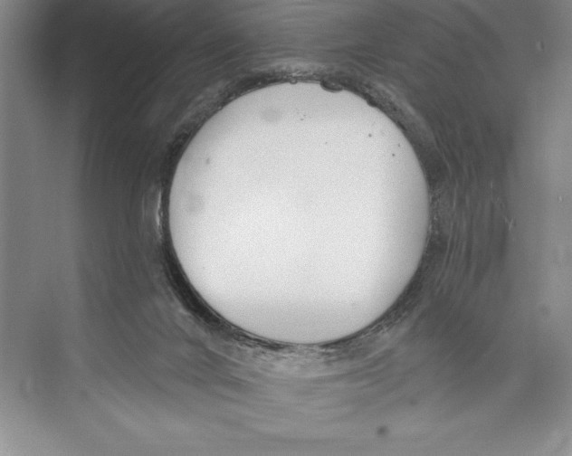 X0000072490024200608111614