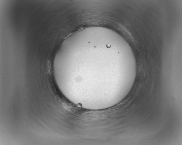 X0000072490025200608111614