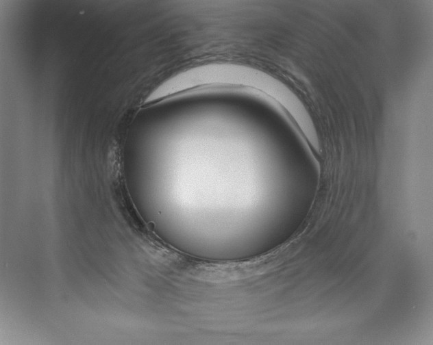 X0000072490029200608111614